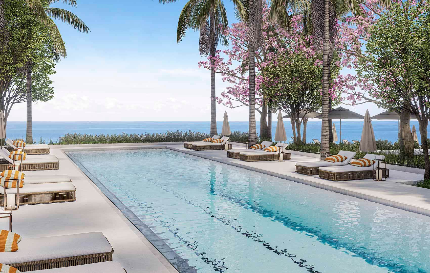 imagen representativa