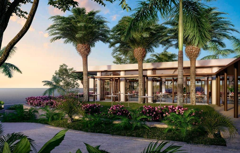 imagen representativa