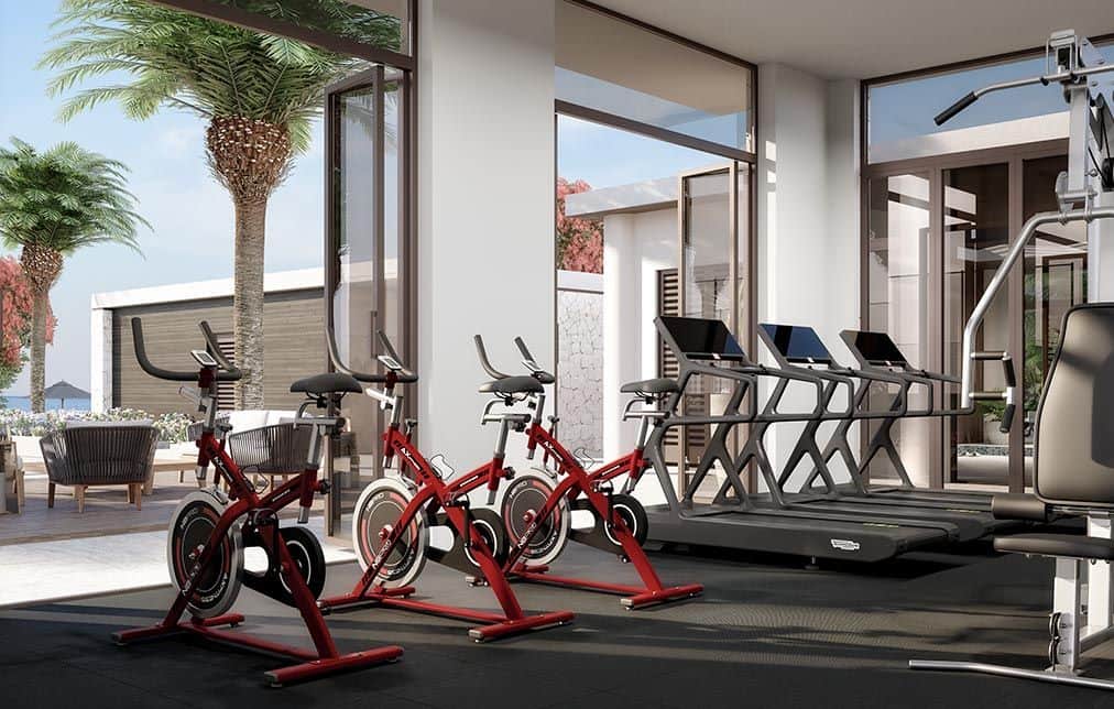 imagen representativa